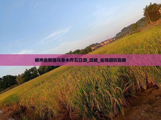 郴州去新疆乌鲁木齐五日游