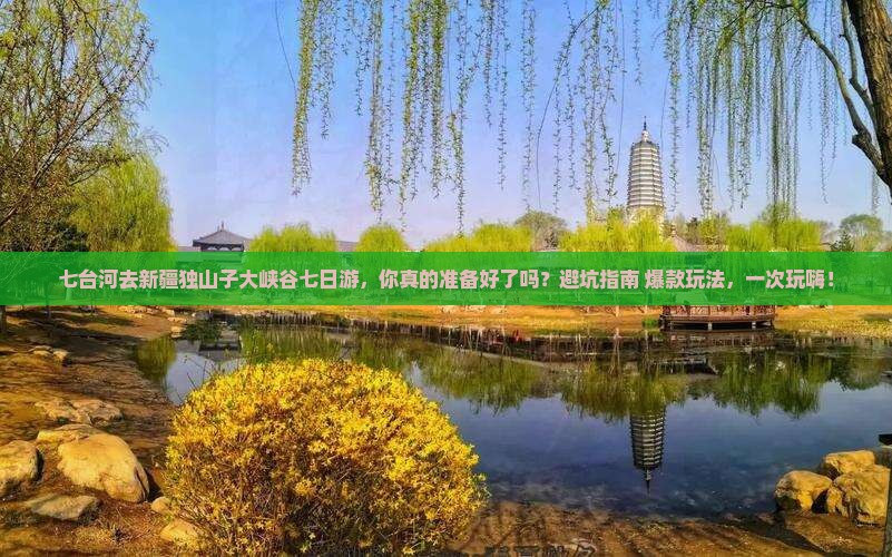 七台河去新疆独山子大峡谷七日游