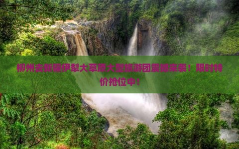 柳州去新疆伊犁大草原大型旅游团
