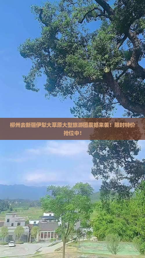 柳州去新疆伊犁大草原大型旅游团