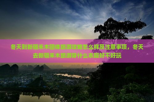 冬天到新疆禾木团体旅游