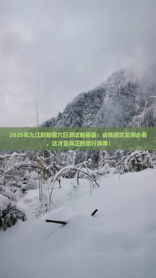 九江到新疆六日游