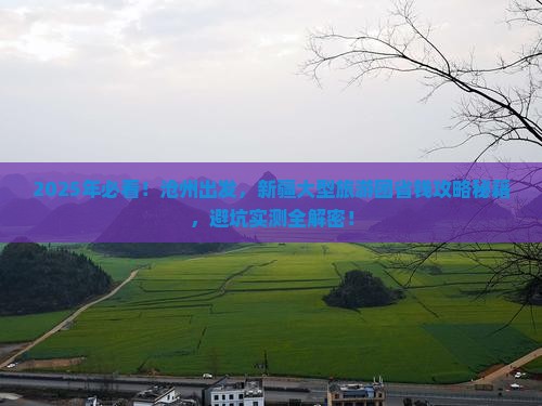 沧州去新疆大型旅游团