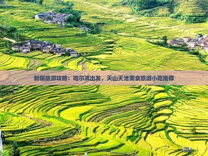 哈尔滨去新疆天山天池旅游小吃
