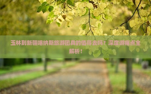 玉林到新疆喀纳斯大型旅游团