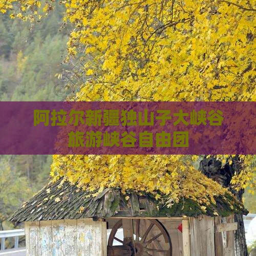 阿拉尔到新疆独山子大峡谷自由团