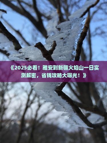 雅安到新疆火焰山一日