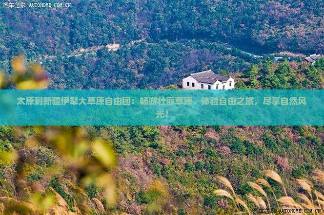 太原到新疆伊犁大草原自由团
