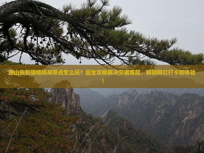 唐山去新疆喀纳斯景点