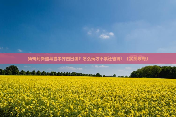 扬州到新疆乌鲁木齐四日游