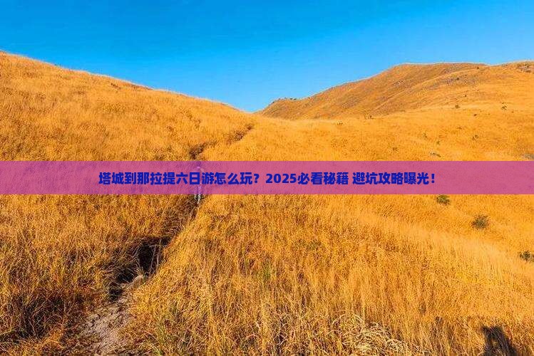 塔城到新疆那拉提六日游