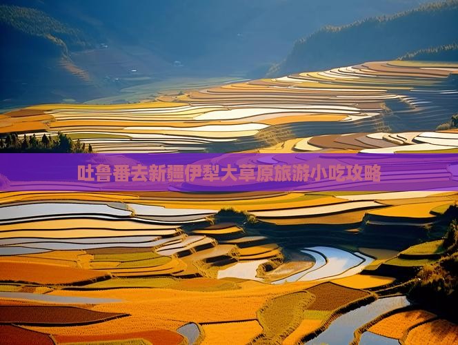 吐鲁番去新疆伊犁大草原旅游小吃