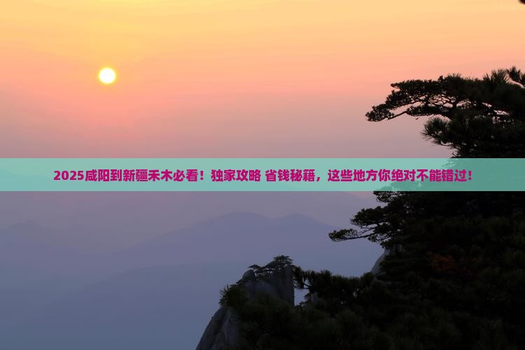 咸阳到新疆禾木必去地