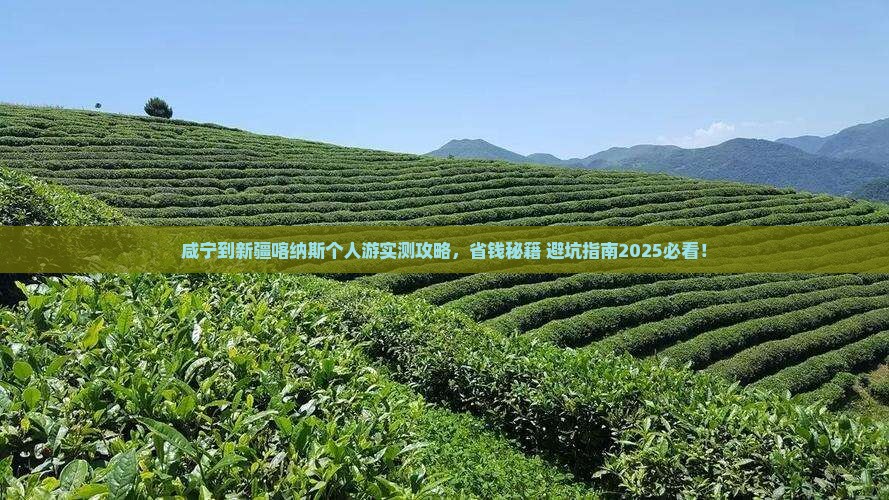 咸宁到新疆喀纳斯个人游