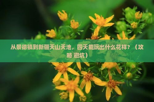 景德镇到新疆天山天池四日游