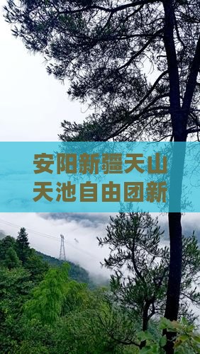 安阳去新疆天山天池自由团