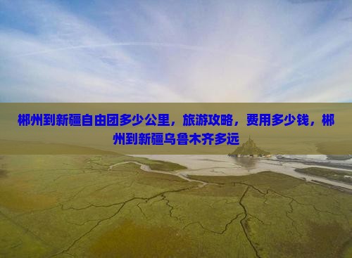 郴州到新疆自由团
