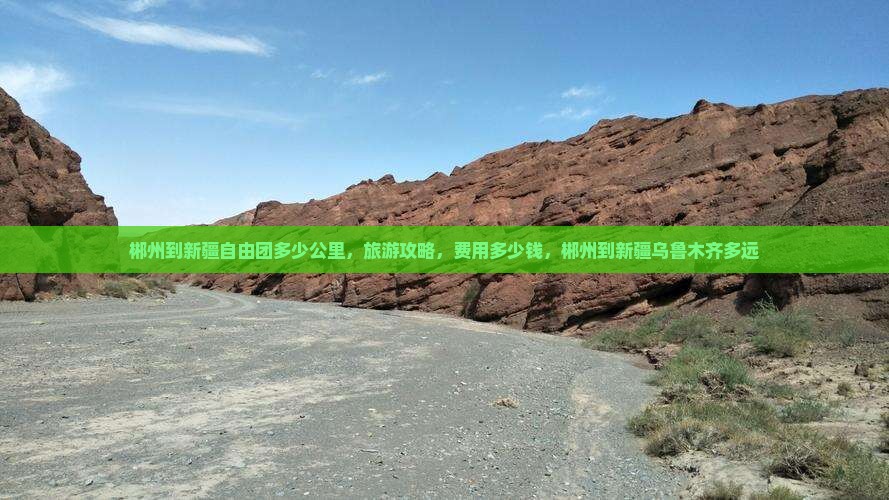 郴州到新疆自由团