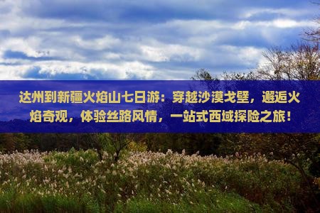 达州到新疆火焰山七日游