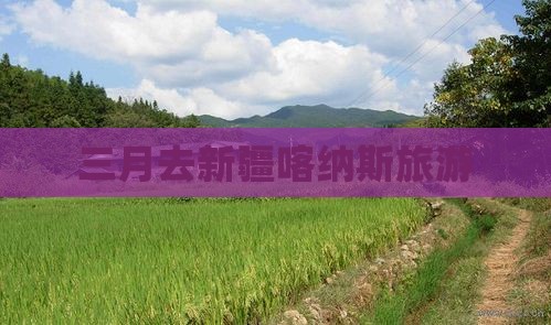 三月去新疆喀纳斯旅游