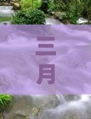 三月去新疆喀纳斯旅游