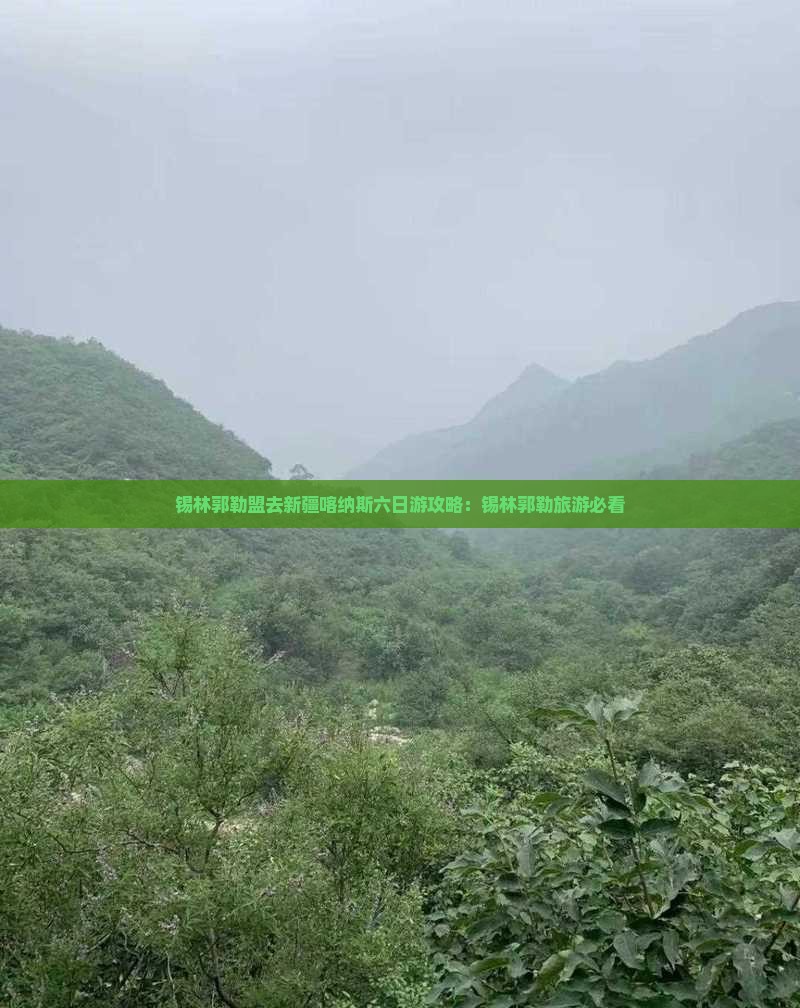 锡林郭勒盟去新疆喀纳斯六日游