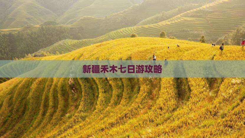 自贡去新疆禾木七日游