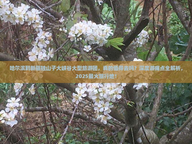 哈尔滨到新疆独山子大峡谷大型旅游团