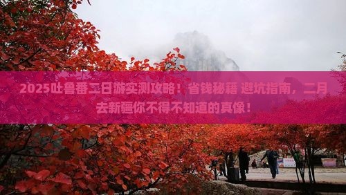 二月去新疆吐鲁番二日游