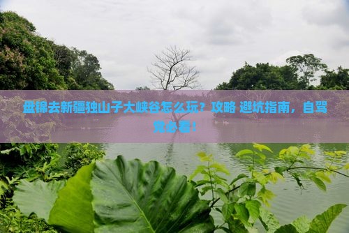 盘锦去新疆独山子大峡谷哪里玩