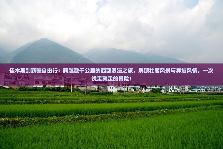 佳木斯到新疆自由行