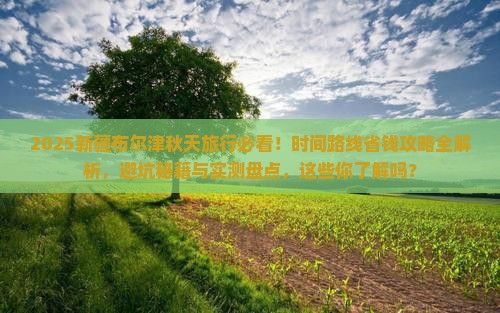 秋天去新疆布尔津旅行社