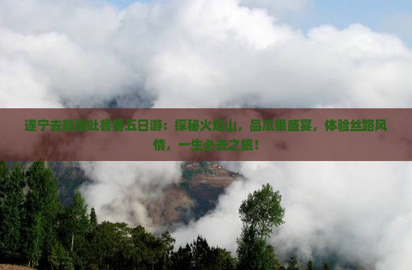 遂宁去新疆吐鲁番五日游