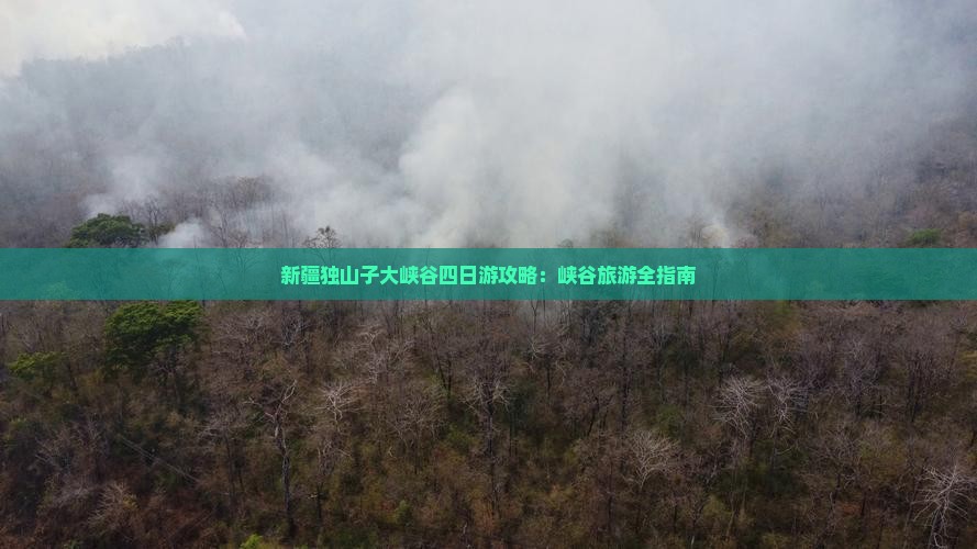 泰安到新疆独山子大峡谷四日游