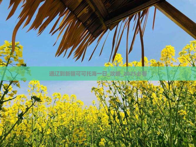通辽到新疆可可托海一日