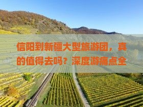 信阳到新疆大型旅游团