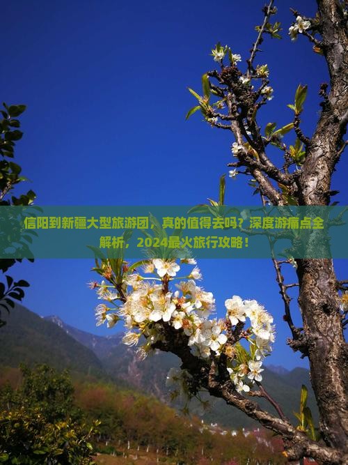 信阳到新疆大型旅游团