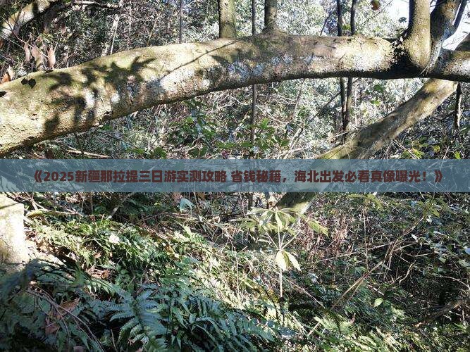 海北去新疆那拉提三日游
