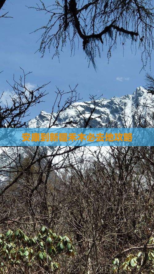 安康到新疆禾木必去地