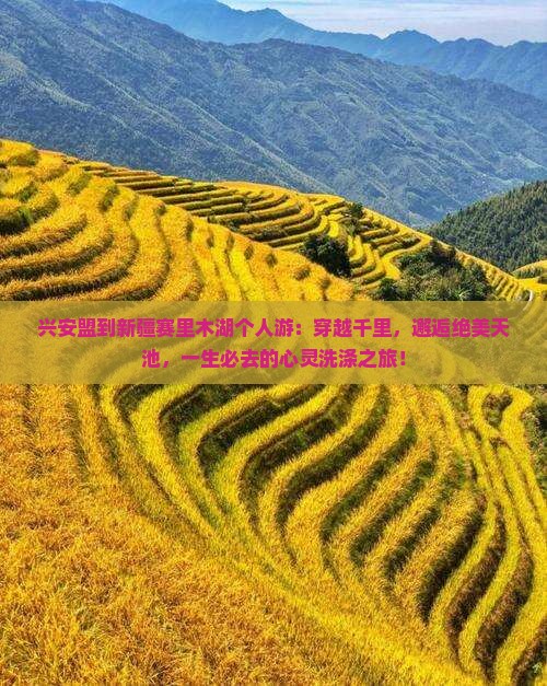 兴安盟到新疆赛里木湖个人游