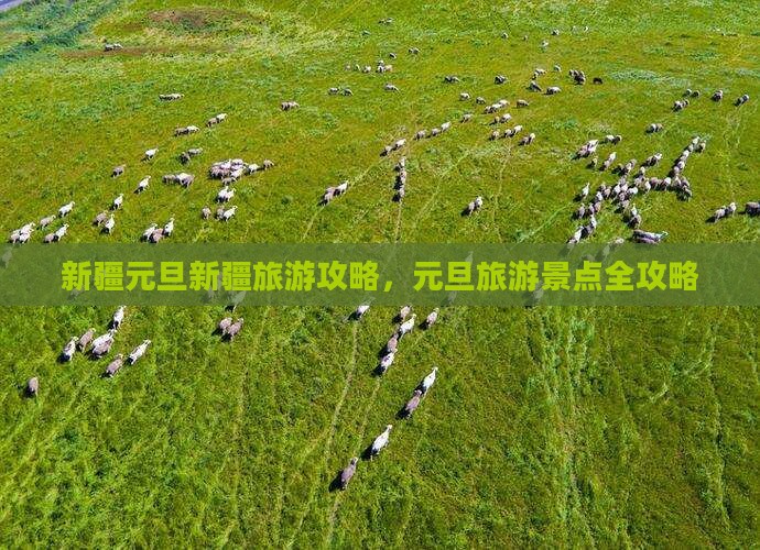 元旦到新疆景点