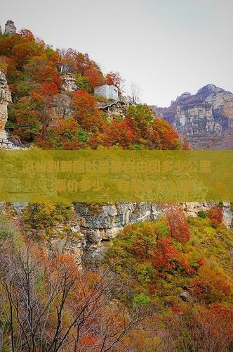 泸州到新疆吐鲁番自由团