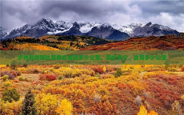 泸州到新疆吐鲁番自由团