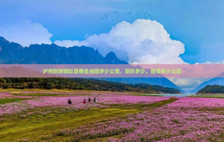 泸州到新疆吐鲁番自由团