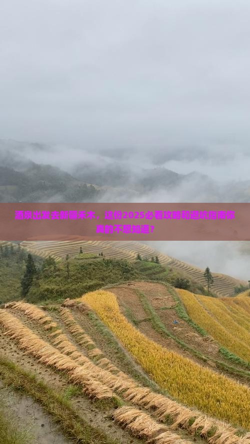 酒泉到新疆禾木景点