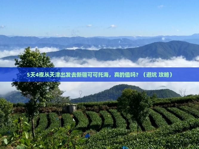 天津到新疆可可托海大型旅游团