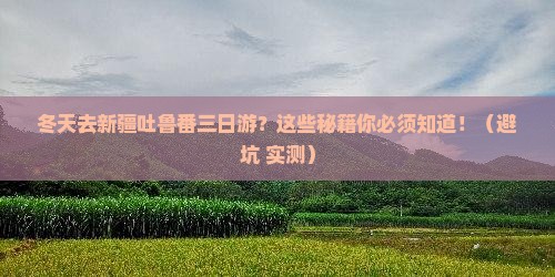 冬天到新疆吐鲁番三日游