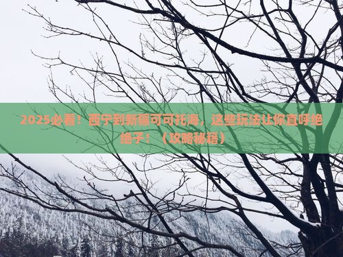西宁到新疆可可托海哪里玩