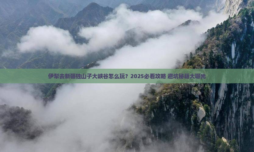 伊犁去新疆独山子大峡谷旅行社