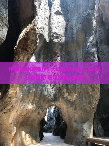 伊犁去新疆独山子大峡谷旅行社